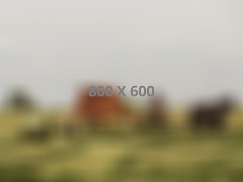 Post masonry — BiomedRx